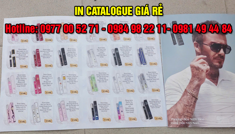 in-catalogue-binh-duong